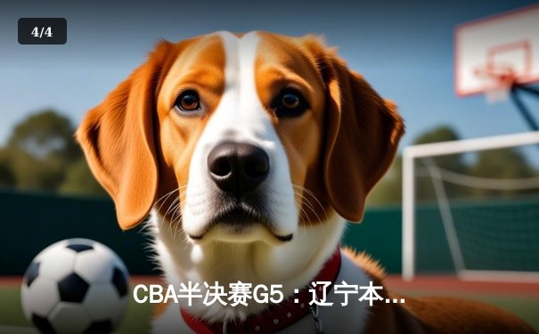 CBA半决赛G5：辽宁本钢加时逆转广东宏远 赵继伟33分率队挺进总决赛 - 4